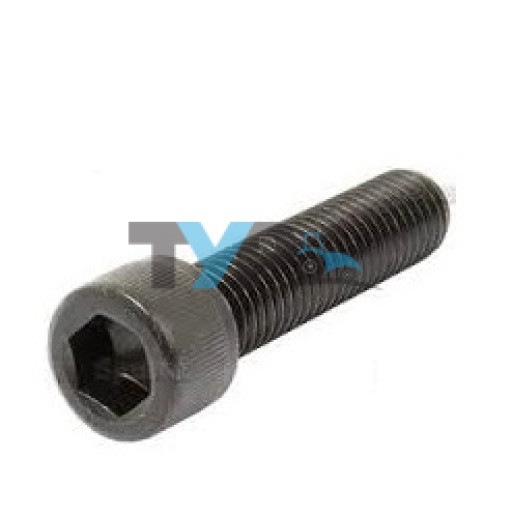 MF 135/240 CAP HEAD SOCKET SCREW