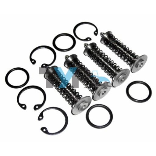 MF 135/165/285 VALVE CHAMBER REPAIR KIT